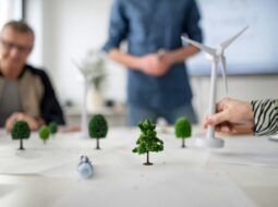 sustainable business